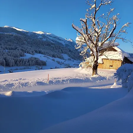 Wenk Elisabeth Wildhaus