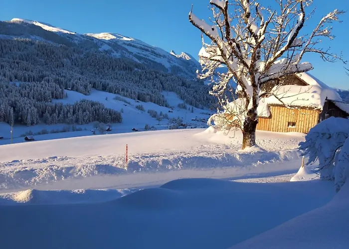 Wenk Elisabeth ويلدهاوس